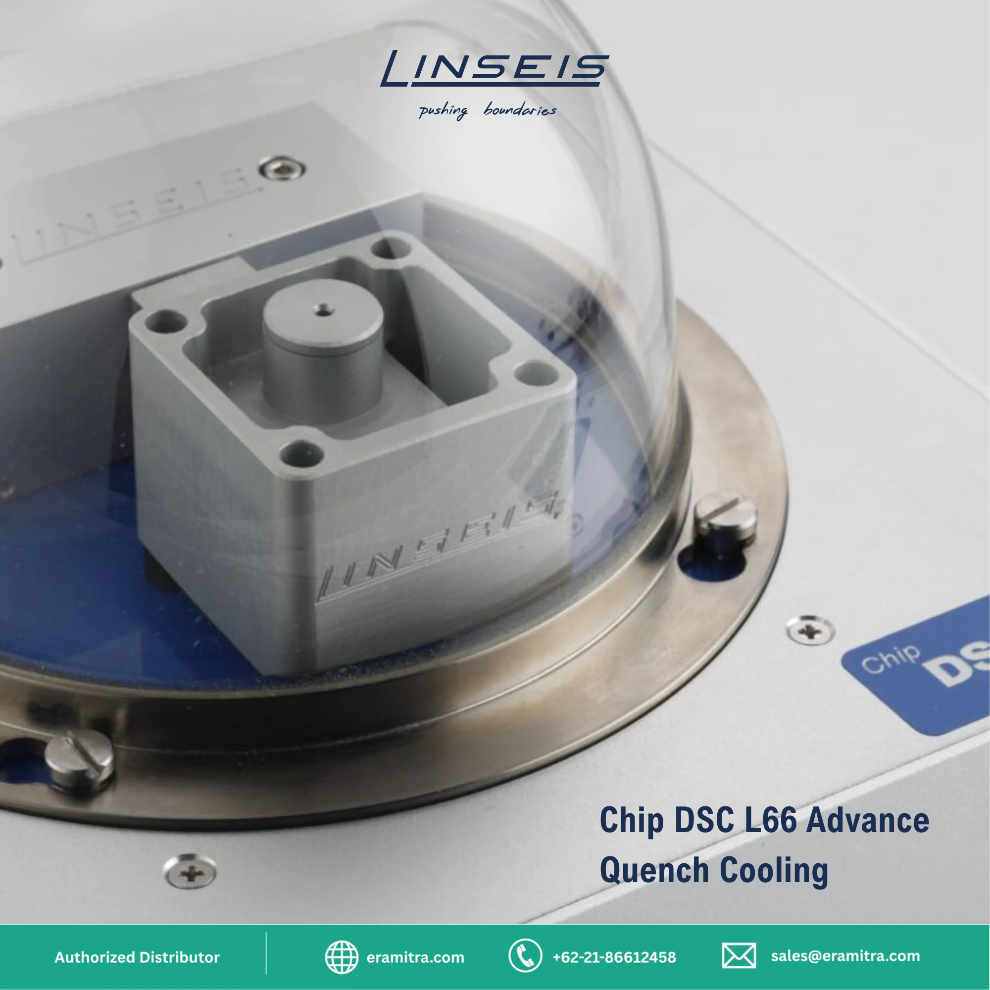 Chip DSC 10 - DSC L66 Advance